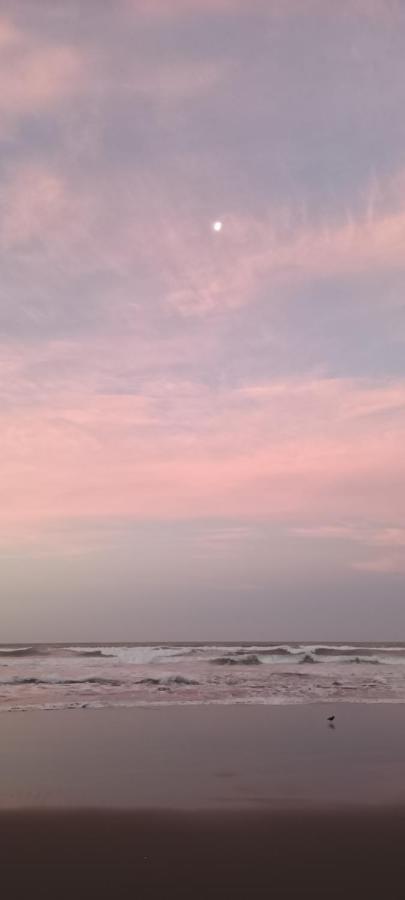 Opotiki - Waiotahe Drifts Beach Pod ภายนอก รูปภาพ